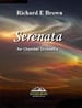 Serenata for Chamber Orchestra